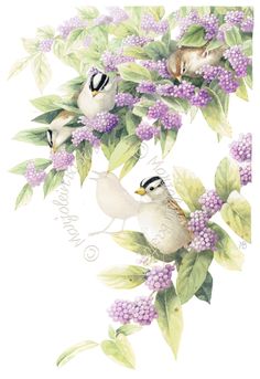 two birds sitting on top of purple flowers and green leafy branches in front of a white background