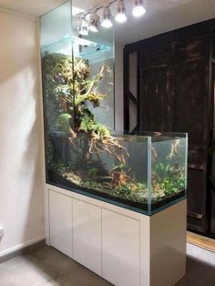 a fish tank with plants in it on display