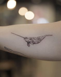 Looking for Black and Grey Fine Line and Single Needle Tattoos? Follow for the latest designs and tattoo reference inspiration @danielcollinsart 
#tattooinspiration #tattooideas #fineline #singleneedle #microrealism #tattoos #blackworktattoo #inked #blackandgrey Ice Tattoo, Cute Narwhal, Tatoo Inspiration, Ocean Tattoos, 1 Tattoo, Cover Up Tattoo, Narwhal