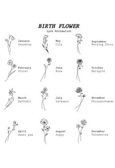 the birth flower chart for birth flowers