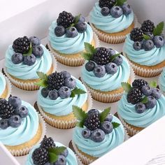 cupcakes with blue frosting and berries in a box