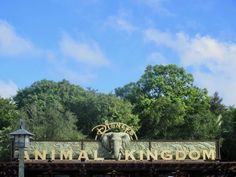 an elephant statue is on top of the entrance to animal kingdom