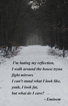 an image of a snow covered path with a poem written in the middle on it