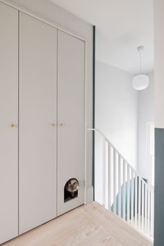 a dog is peeking out of the closet door