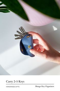 a hand holding a blue case with keys in it next to a green plant on a white table