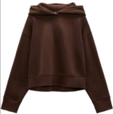 Brand New Zara Brown Hoodie. Size S. Spring Brown Sweatshirt With Ribbed Cuffs, Brown Sweatshirt With Ribbed Cuffs For Spring, Brown Hoodie With Drawstring Hood For Fall, Brown Drawstring Hood Sweatshirt For Spring, Brown Hooded Top With Ribbed Cuffs, Casual Brown Hoodie For Spring, Casual Brown Spring Hoodie, Trendy Brown Hoodie Sweatshirt, Brown Sporty Sweatshirt For Spring