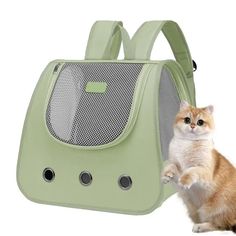 an orange and white cat sitting next to a green pet carrier with its paws in the air