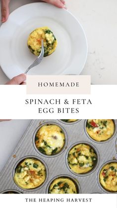 Spinach and Feta Egg Bites for an Easy and Healthy Breakfast Easy Breakfast Bites Healthy, Freezer Breakfast Egg Bites, Egg Bites Breakfast Recipes, Breakfast Egg Bites Healthy, Egg Bites Spinach Feta, Spinach Egg Recipes Healthy, Break Fast Healthy Easy Recipes, Spinach And Feta Egg Cups, Can You Freeze Egg Bites