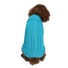 a brown dog wearing a blue sweater