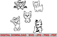 four small dogs are shown in black and white, with the words digital svg - jp