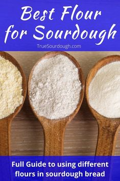 three wooden spoons with flour in them and the words best flour for sourdough