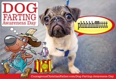 a small dog with a tag on it's collar standing in front of a sign that says dog farting awareness day