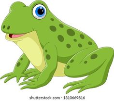 a green frog with blue eyes sitting on the ground