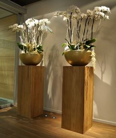 two wooden vases with white flowers in them on top of a hard wood floor