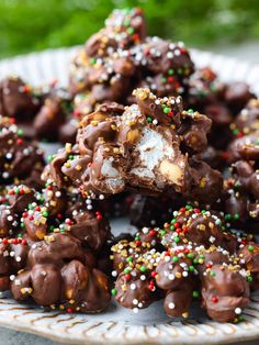 chocolate covered cookies on a plate with sprinkles