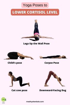 Yoga poses to lower cortisol level Calming Yoga Poses, Seated Forward Bend, Cortisol Reduction, How To Lower Cortisol, Calming Yoga, Reduce Cortisol, Deep Rest, Lower Cortisol, Cat Cow Pose