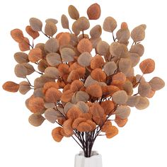 a white vase filled with lots of brown leaves