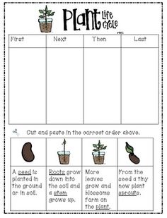 a plant life cycle worksheet with plants in pots and leaves on the top