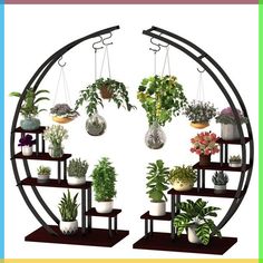 there are many potted plants on the shelves in this circular display case, and one is hanging upside down