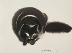 a black and white photo of a cat with it's tail curled around its neck