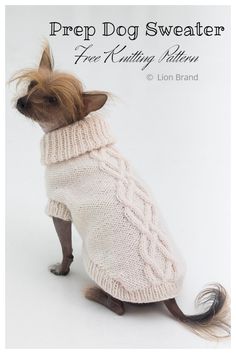 a small dog wearing a sweater with the words, prep dog sweater free knitting pattern