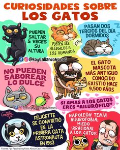 the spanish poster shows different types of cats