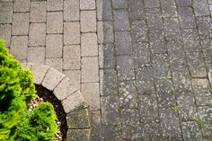 an aerial view of two brick walkways with moss growing on them