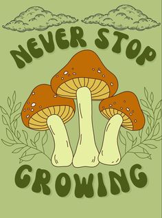 a mushroom with the words never stop growing