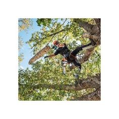 a man is in the air on a tree with his snowboard attached to it