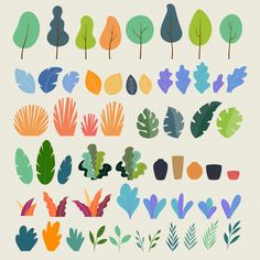 different types of leaves and plants