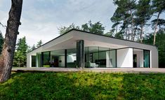 a modern house in the woods with glass walls and doors on each side, surrounded by lush green vegetation