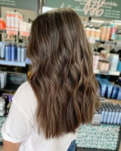 Partial Light Brown Highlights, Simple Natural Highlights, Super Subtle Highlights, Brunette Soft Highlights, Natural Highlights For Brown Hair Straight, Dark Brown Hair With Tiny Highlights, Subtle Highlights Light Brown Hair, Brunette Hair Subtle Highlights