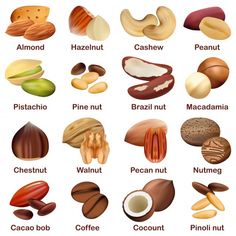 different types of nuts and their names