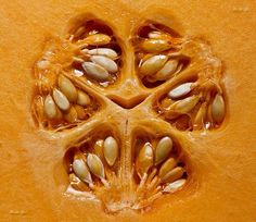 the inside of a pumpkin with seeds on it