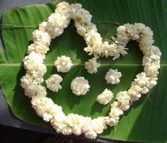 white flowers arranged in the shape of a heart on top of a green plant leaf