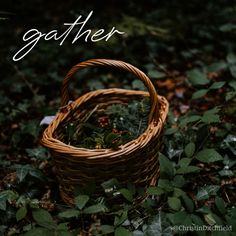 a wicker basket sitting on the ground surrounded by leaves