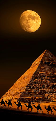 a group of people riding camels across a desert under a full moon with the pyramid in the background