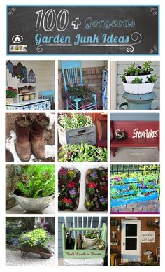 a collage of photos with various plants and flowers in pots on the side of a building