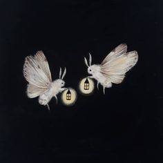 two white moths sitting on top of a black surface next to a light bulb with a house in the middle