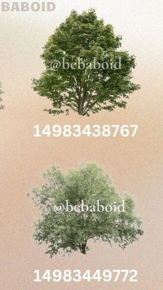 three different trees are shown with the names below them