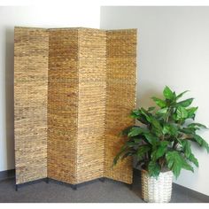 a room divider next to a potted plant