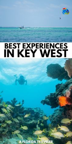 the best experiences in key west