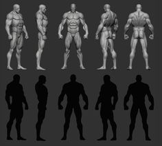 an image of a man's muscular body in different positions and sizes, all showing the