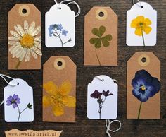 six tags with different flowers on them are hanging from twine strings and tied to brown paper