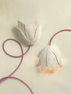 two white flowers are sitting on a table with pink cords and wires attached to them