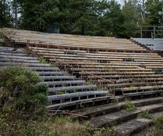 an old abandoned stadium filled with lots of wooden seats and plants growing out of them