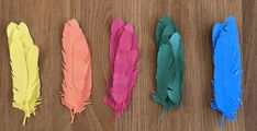 five different colored feathers lined up in a row on top of a wooden table next to each other