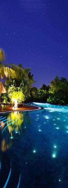 an outdoor swimming pool at night with lights reflecting off the water and palm trees in the background