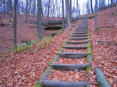 a set of stone steps in the woods with leaves on the ground next to them