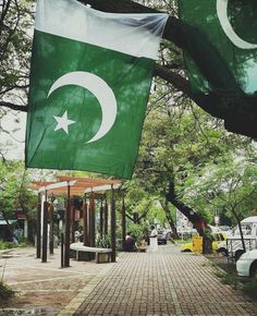 an image of a flag hanging from the side of a tree in front of a building